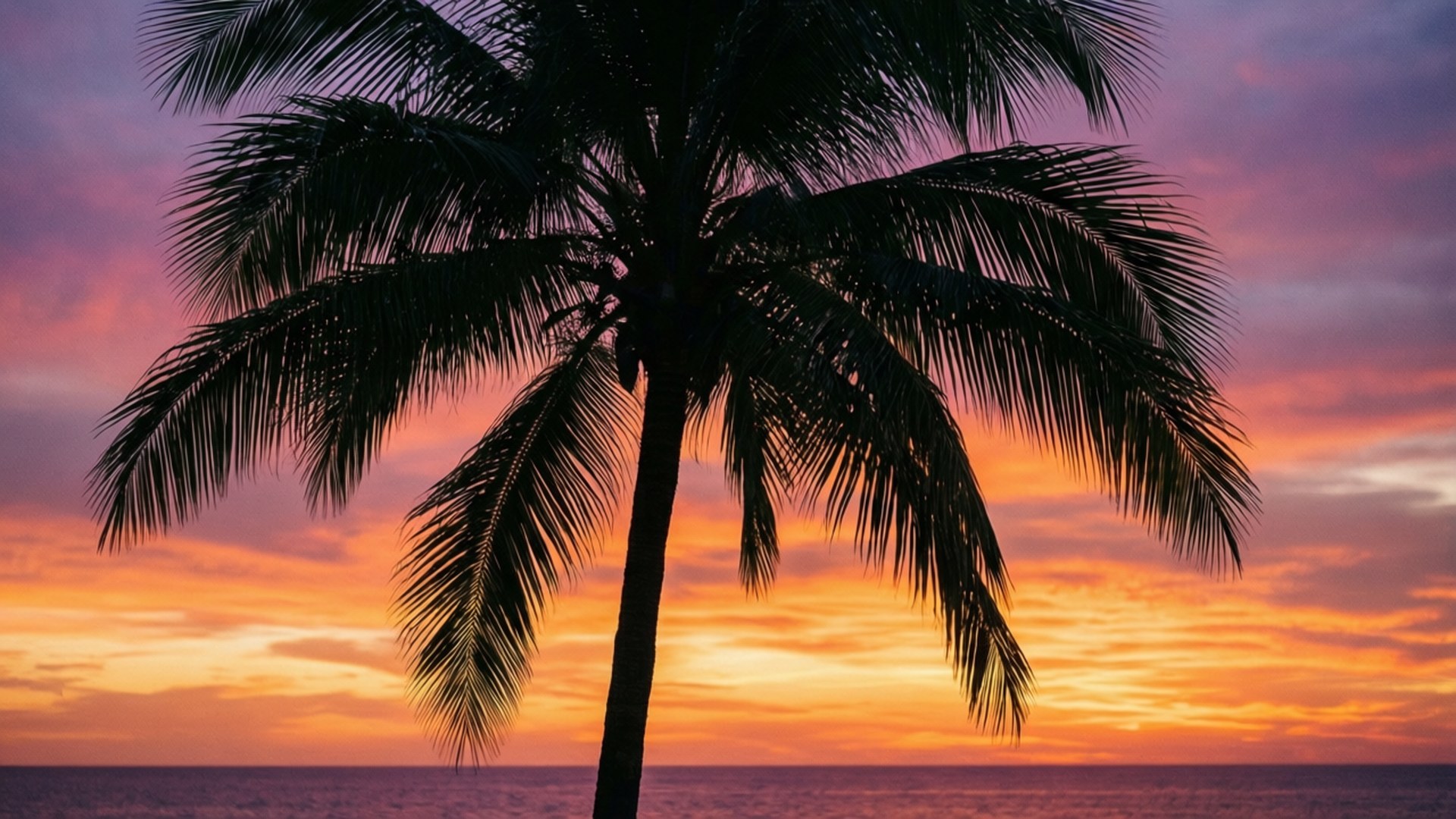 棕櫚樹夕陽 壁紙 — 一棵孤獨的棕櫚樹在平靜的海洋上，以火熱的橙色、粉紅色和紫色雲彩的鮮豔日落為背景形成剪影。