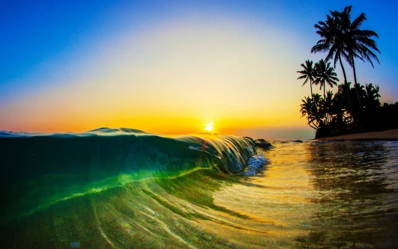 熱帶海灘上的夕陽，有棕櫚樹和捲起的海浪。