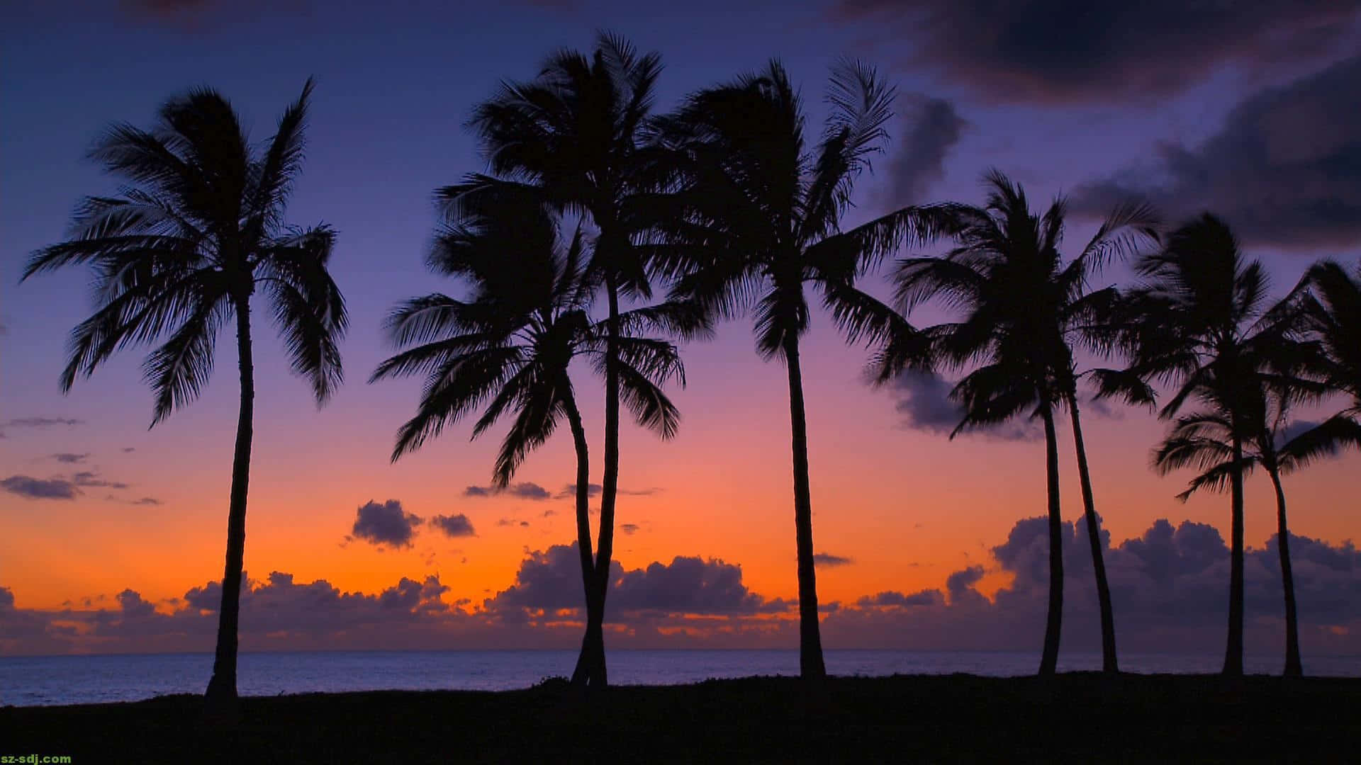 Hawaiian Beach 桌布 壁紙 — 棕櫚樹的剪影在海洋上空混合橙色、紫色和藍色的鮮豔日落天空中高高聳立。
