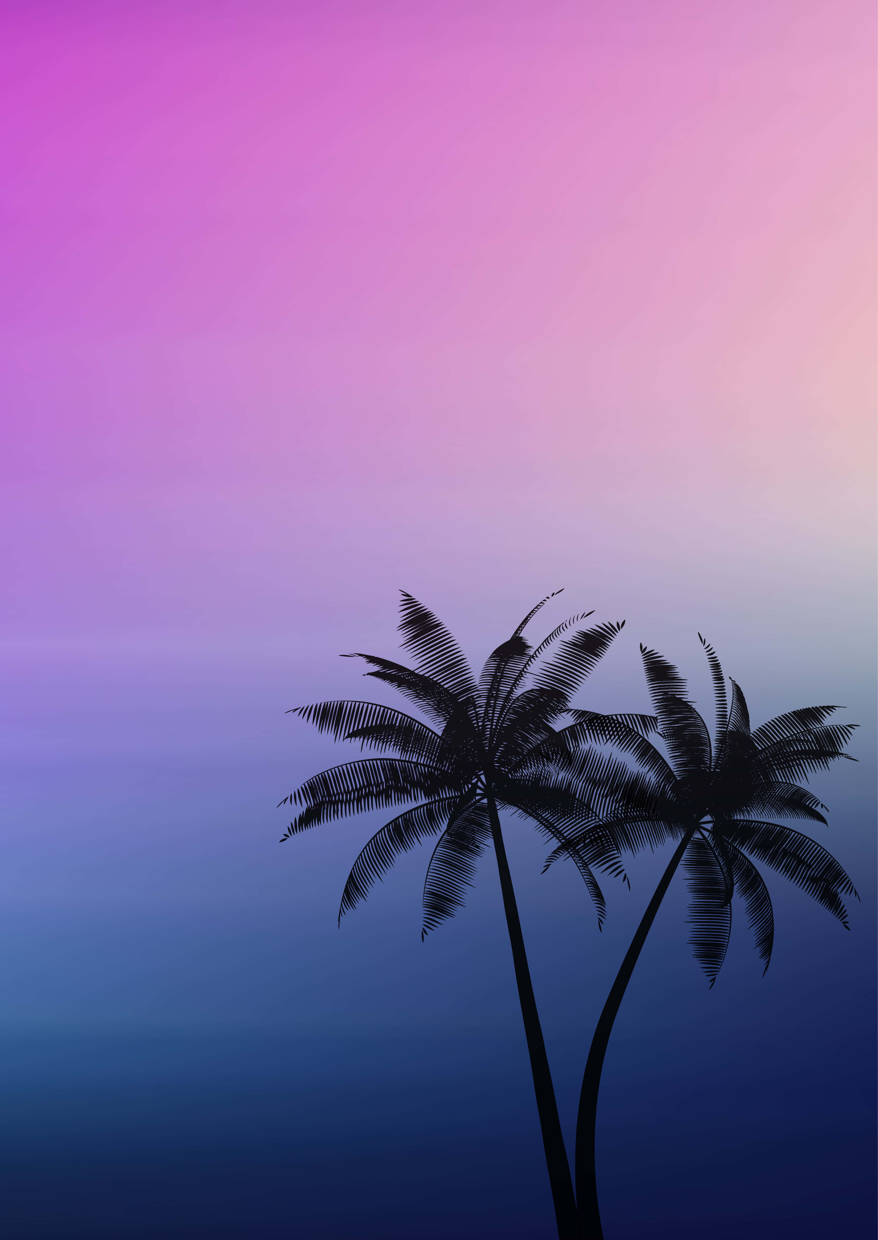 棕櫚樹背景 壁紙