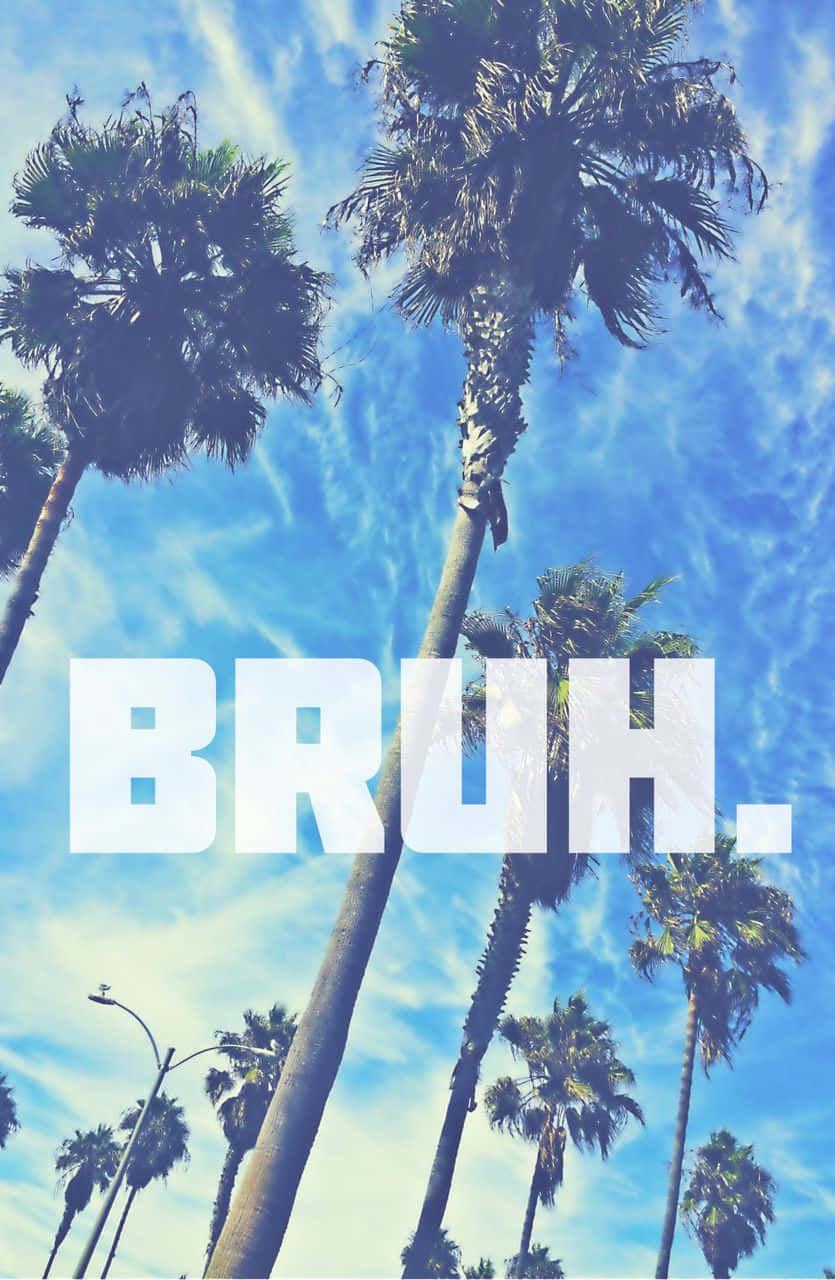 棕櫚樹襯著明亮的藍天，上面覆蓋著 BRUH 字樣。