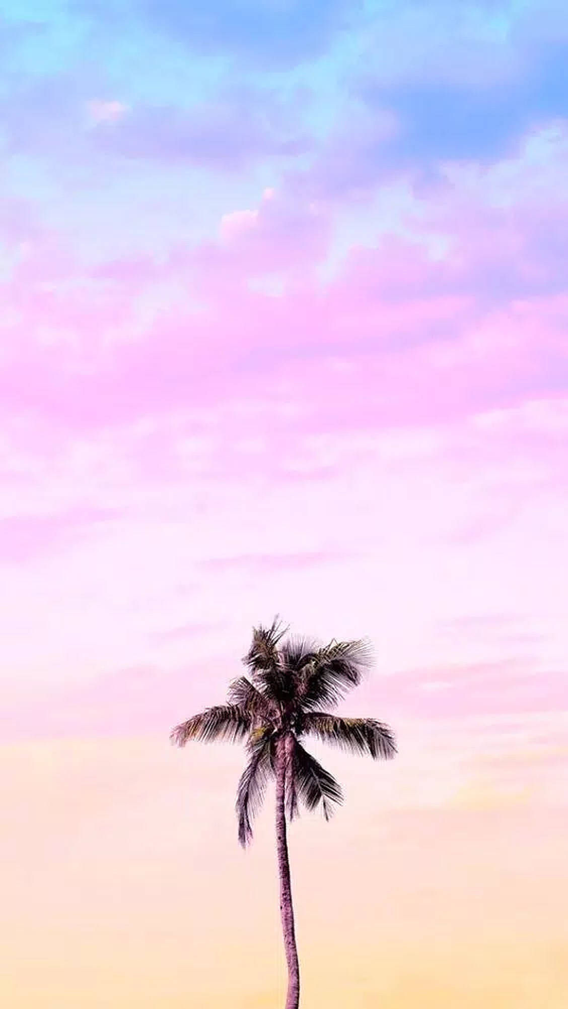棕櫚樹與柔和粉彩天空背景 壁紙 — 一棵孤獨的棕櫚樹高聳在夢幻般的粉彩天空下，融合了粉紅、藍色和蜜桃色調。