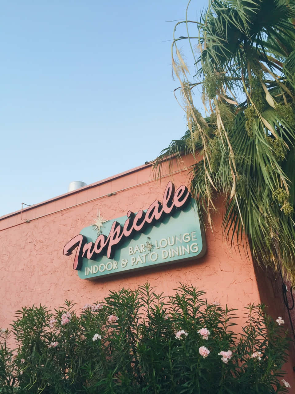 棕櫚泉「The Tropicale 餐廳與酒廊」外觀 壁紙 — 熱帶風情酒吧酒廊的復古標誌在珊瑚色灰泥牆上發光，周圍環繞著棕櫚葉和粉紅色開花灌木，在晴朗的藍天下。