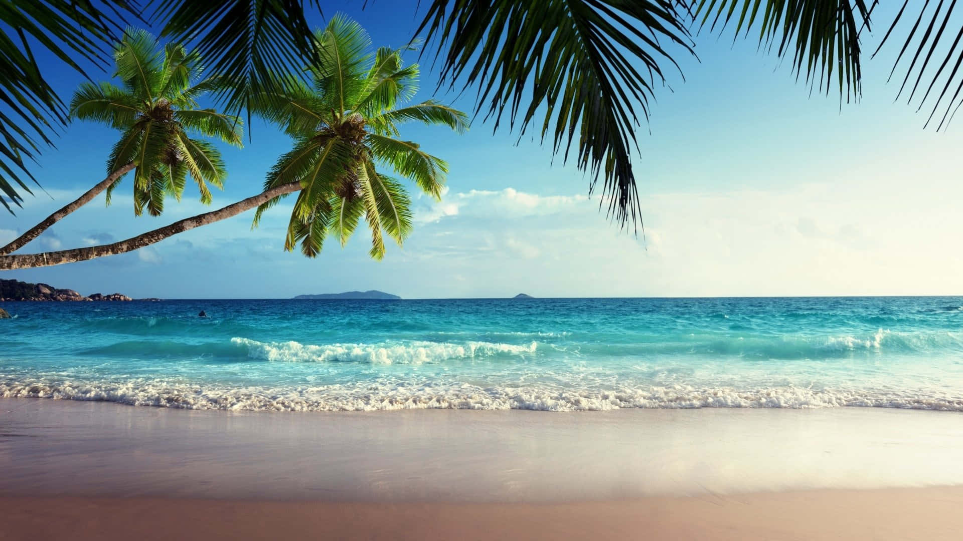 Seychelles Beach 桌布 壁紙 — 棕櫚葉下，粉紅色沙灘上翻滾著碧綠色的海浪，襯托著清澈的藍天，熱帶海灘場景。