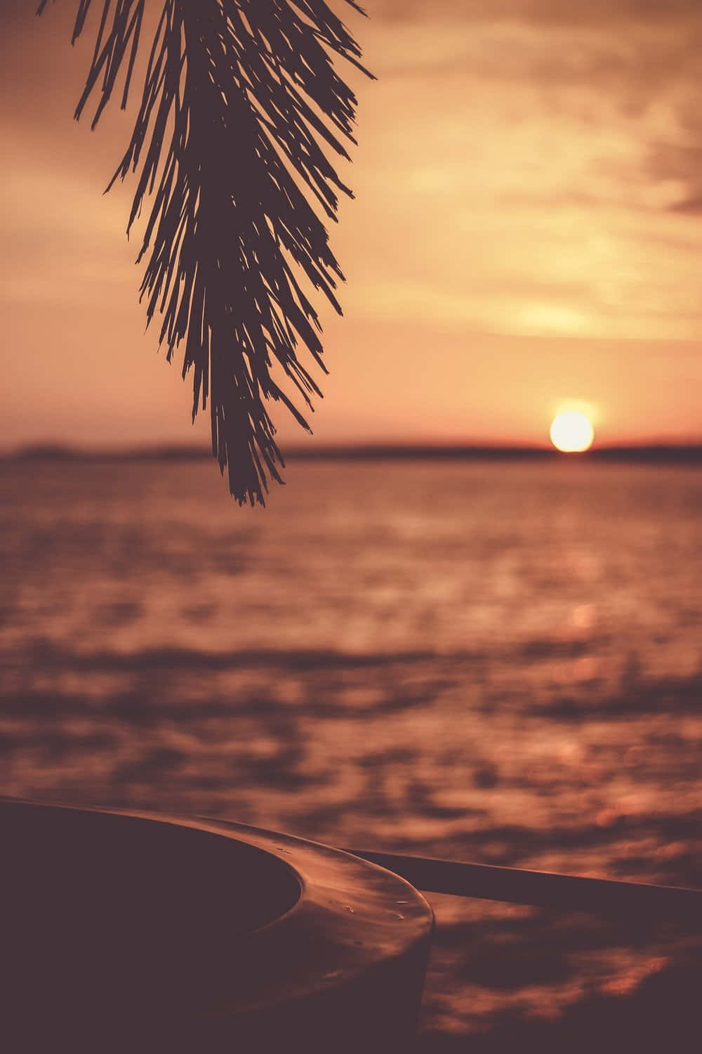 Sunset Photography 桌布 壁紙 — 棕櫚葉剪影映襯著平靜海面上溫暖的橙色日落。