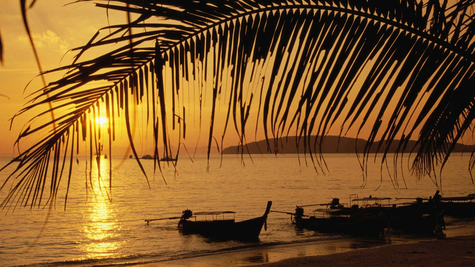 Thailand Beach 桌布 壁紙 — 棕櫚葉的剪影框住了平靜水面上的金色日落，傳統船隻停泊在沙灘上。