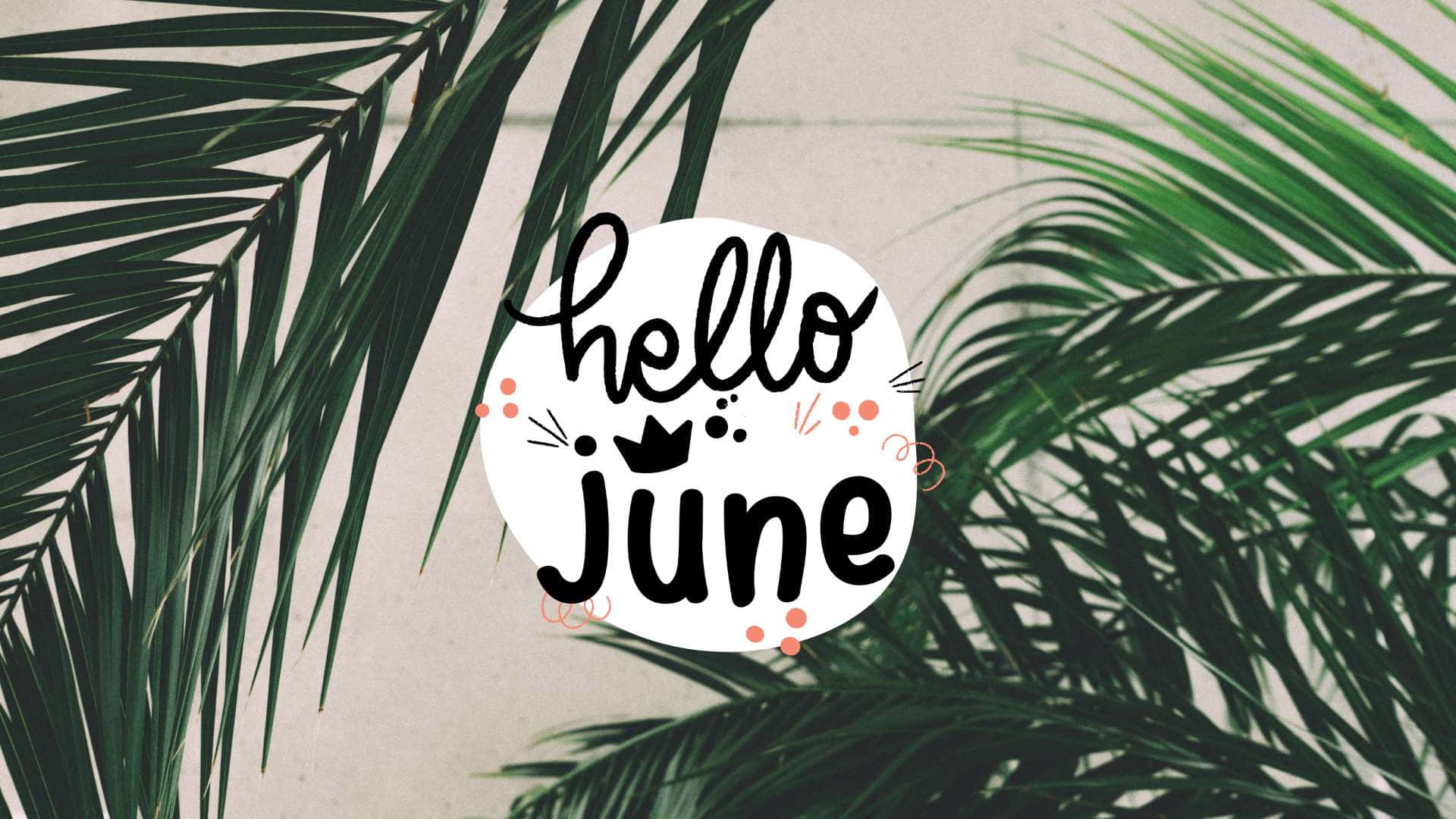 棕櫚葉圍繞一個帶有 hello june 文字的白色圓圈。