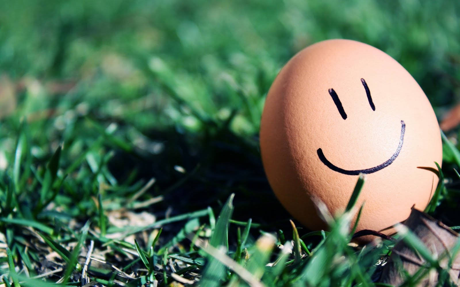 棕色蛋微笑 壁紙 — 一隻帶有手繪笑臉的棕色雞蛋在明亮的陽光下躺在充滿活力的綠色草地上。
