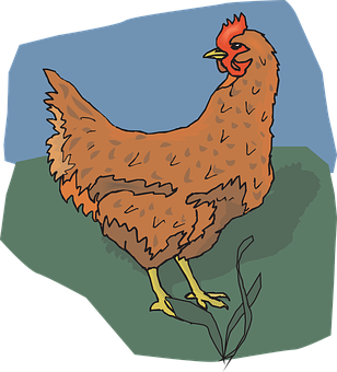 棕色雞插圖 壁紙