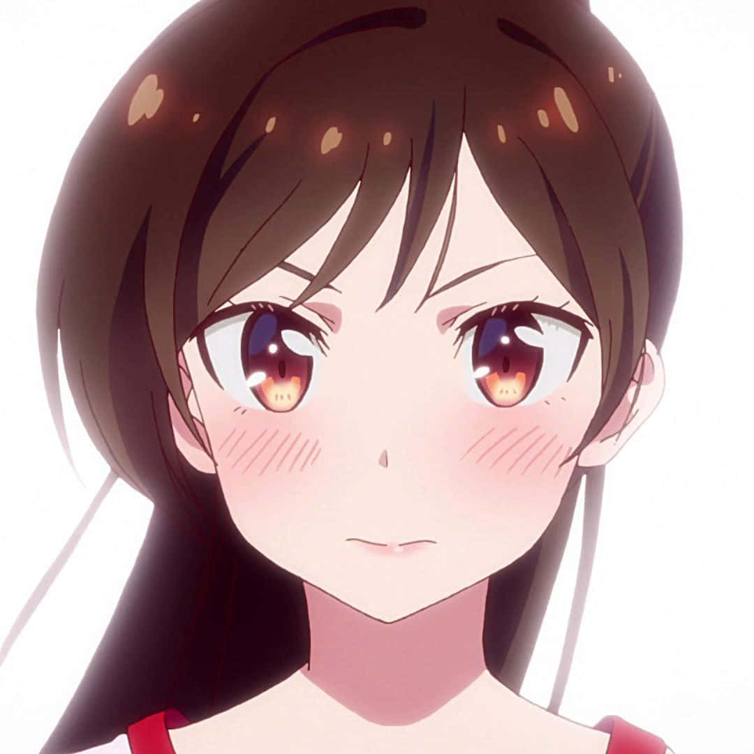 Chizuru Maihara 桌布 壁紙 — 棕色頭髮、眼神溫暖發光的動漫女孩，在明亮的白色背景前溫柔地看著觀眾。