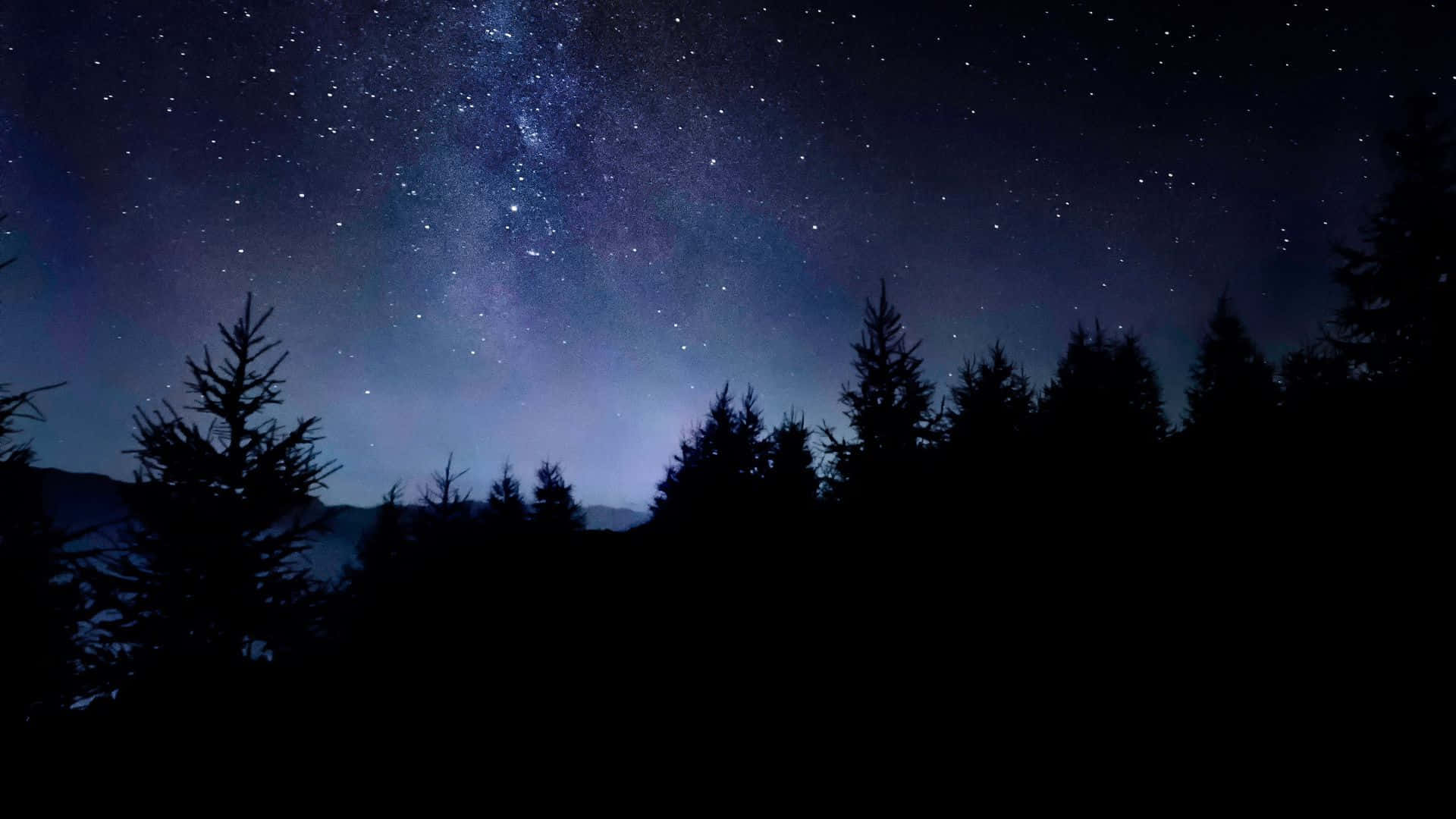 在繁星點點的夜空下，松樹的剪影，銀河清晰可見。