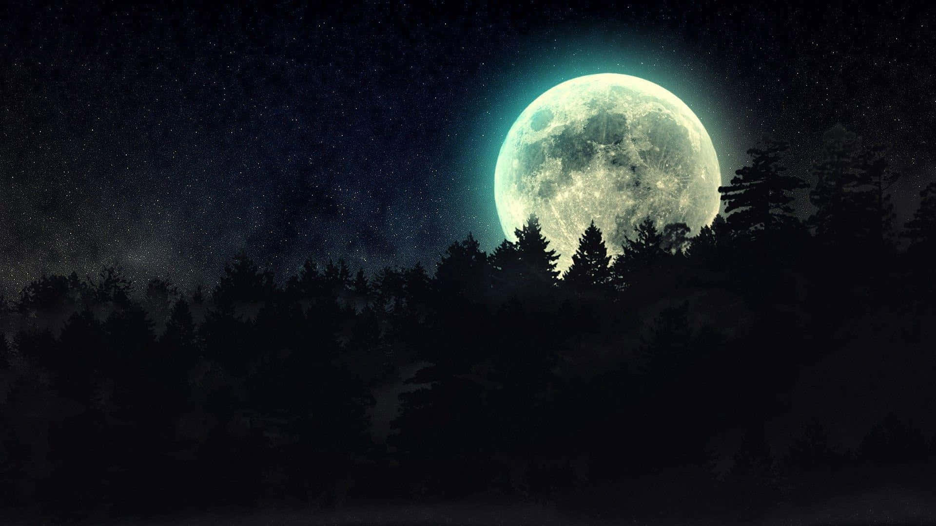 森林上空的滿月 壁紙 — 一輪巨大的發光月亮在星空下從黑暗森林的剪影後升起。