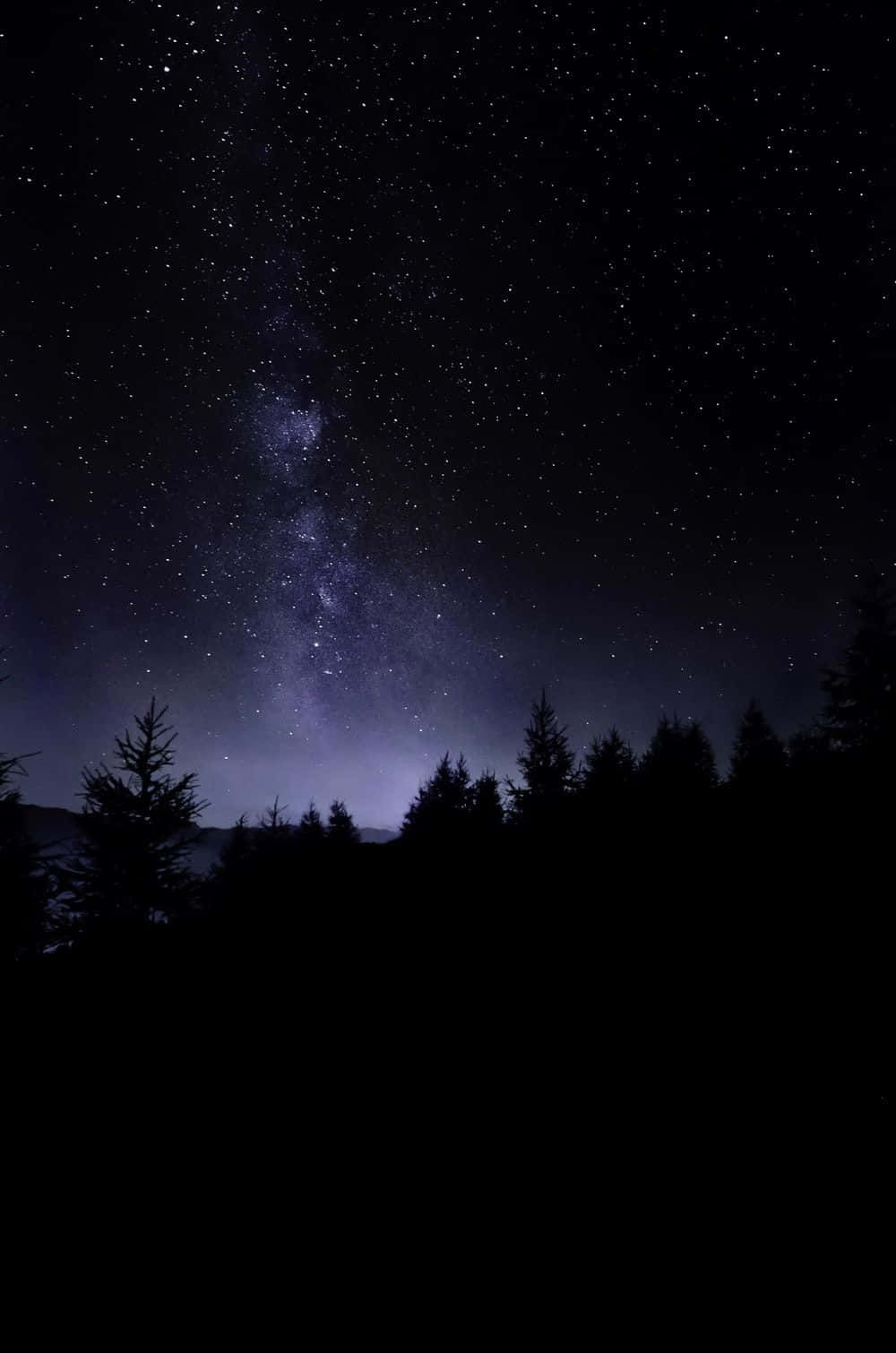 森林上空繁星夜空 壁紙 — 令人嘆為觀止的夜空，充滿無數星星，發光的銀河在松樹的黑暗剪影上拱起。