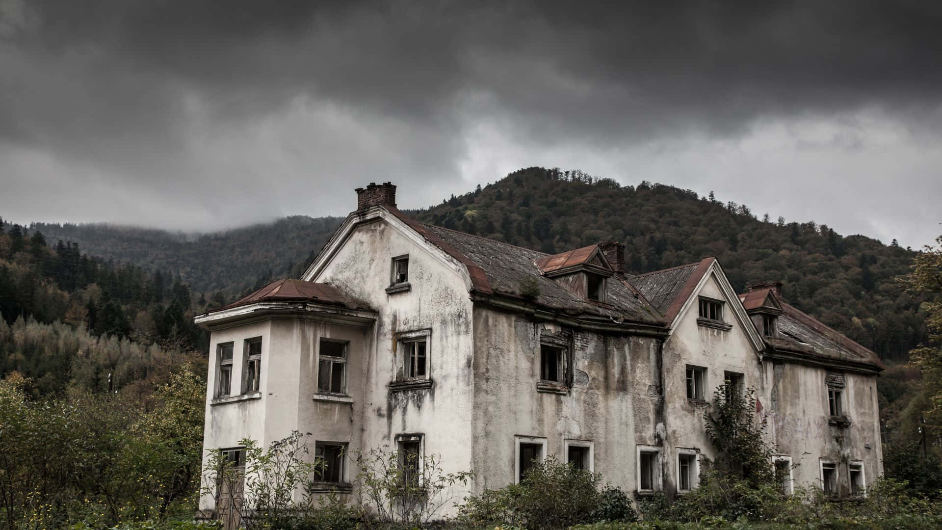 森林中央一座被遺棄的房屋