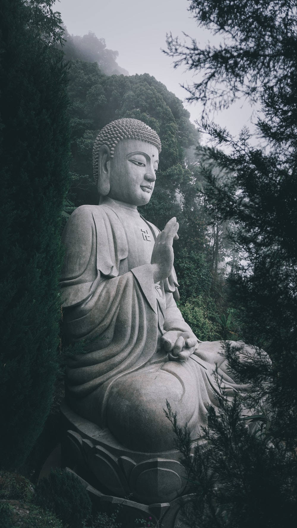 石佛像在煙霧繚繞的山林中冥想。