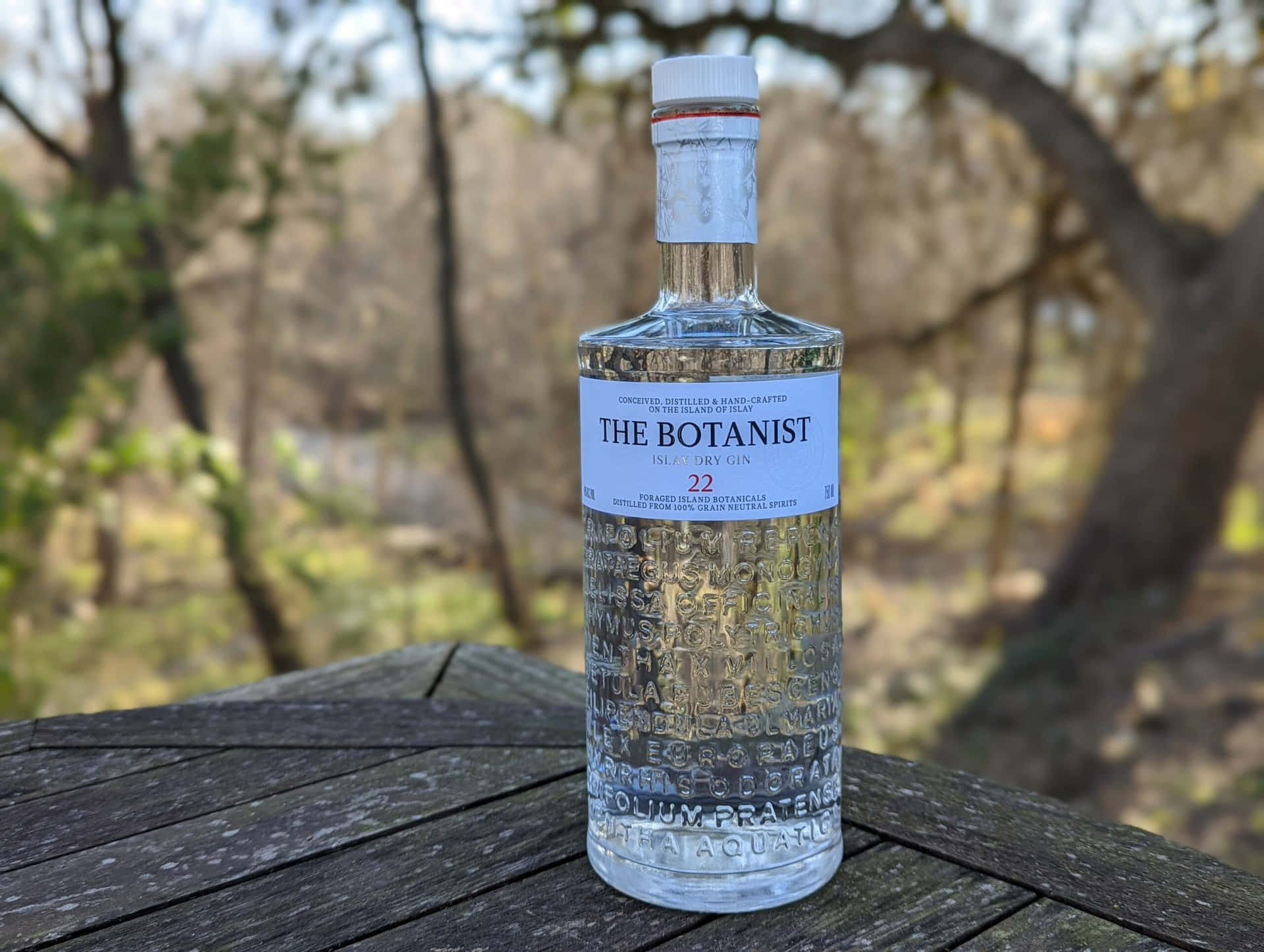 在樹林地區的木桌上放著一瓶The Botanist氈酒。