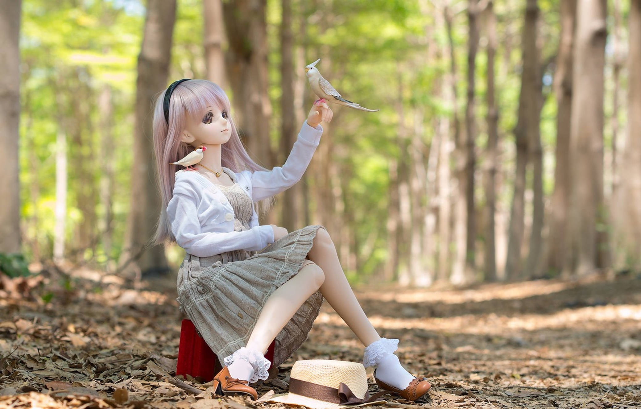森林中的娃娃與鳥 壁紙 — 一個薰衣草色頭髮的娃娃坐在陽光明媚的森林裏，輕輕地捧着一隻棲息在她手指上的小鳥。