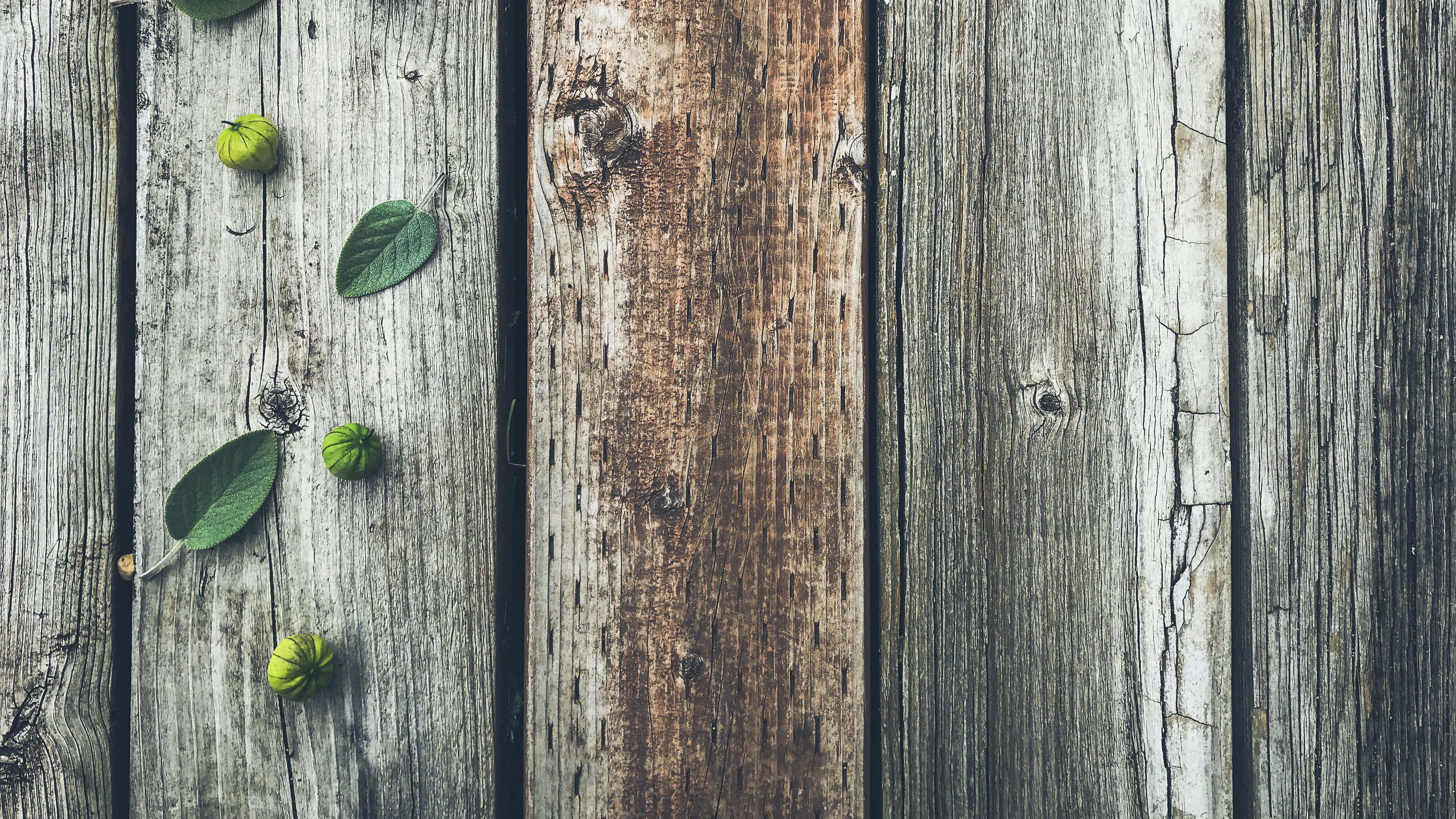 森林中的寧靜休憩 壁紙 — 風化木板上散落著綠葉和小果實，呈現質樸表面。