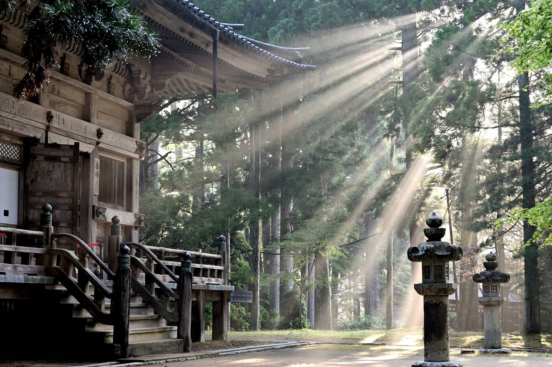 陽光穿過霧氣瀰漫的森林樹木，照亮了一座傳統的日本寺廟和石燈籠。