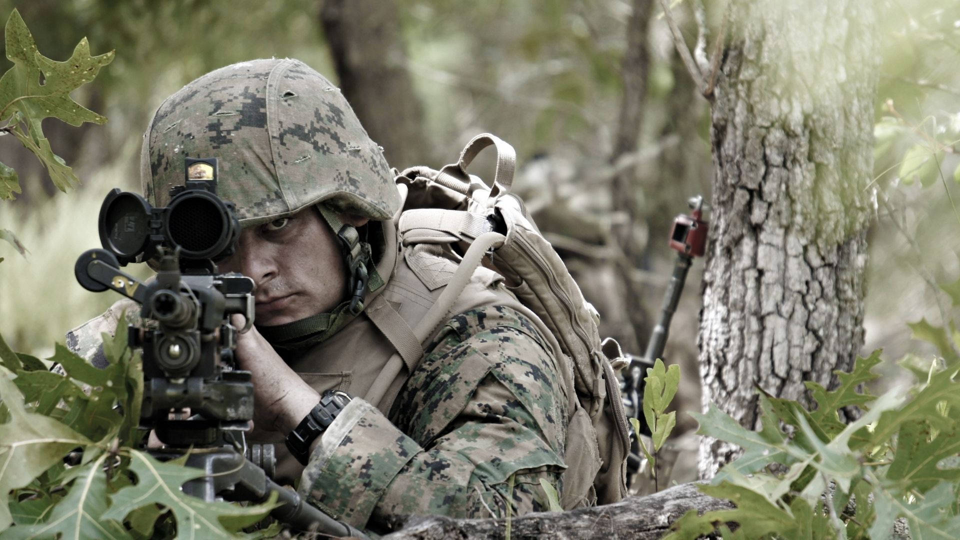 森林中的軍隊 壁紙 — 一名身穿迷彩裝備的士兵蹲在茂密森林的樹葉後，透過步槍瞄準鏡窺視。