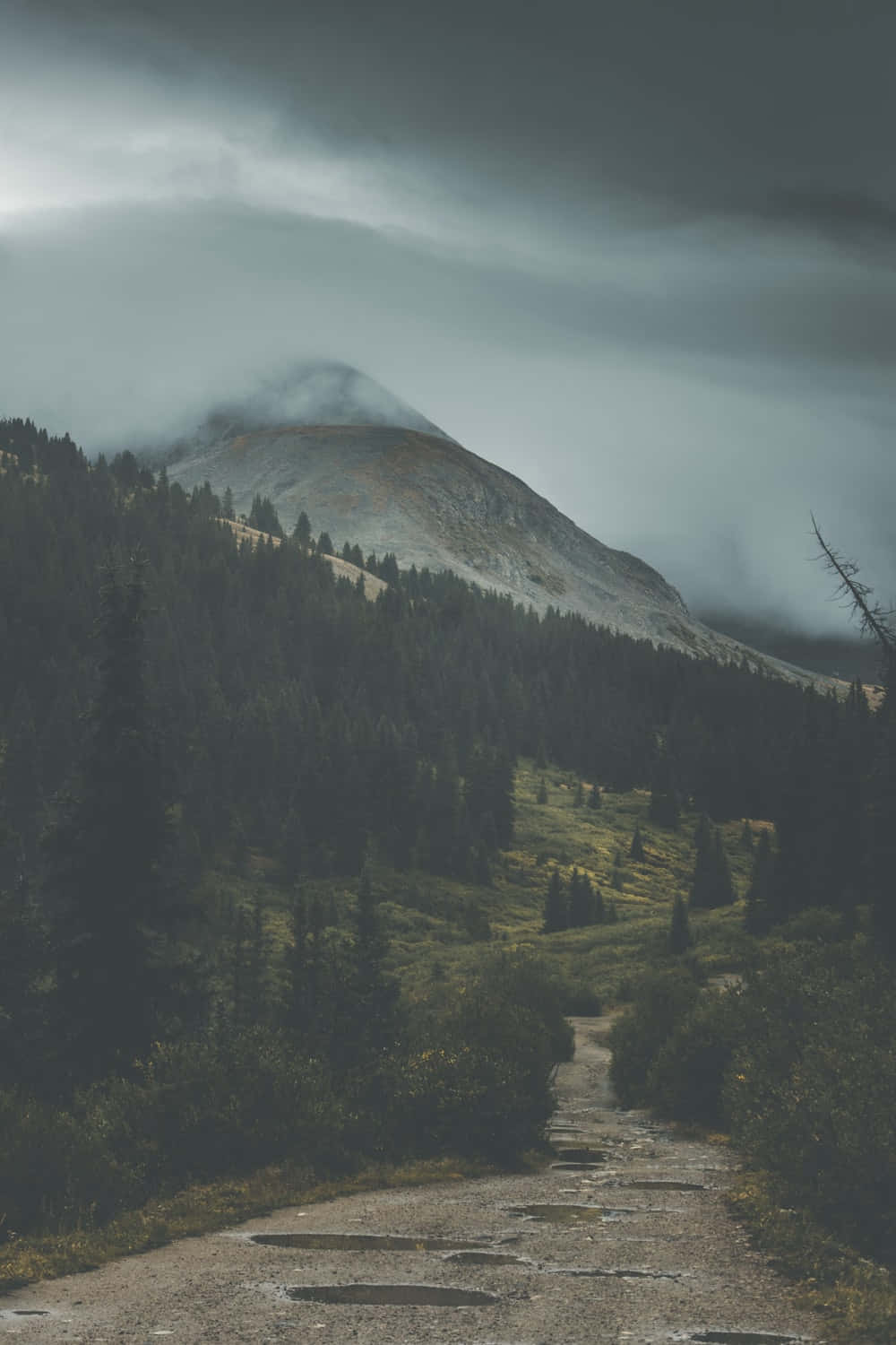 蜿蜒的碎石路穿過迷霧森林通向雲霧繚繞的山峰。