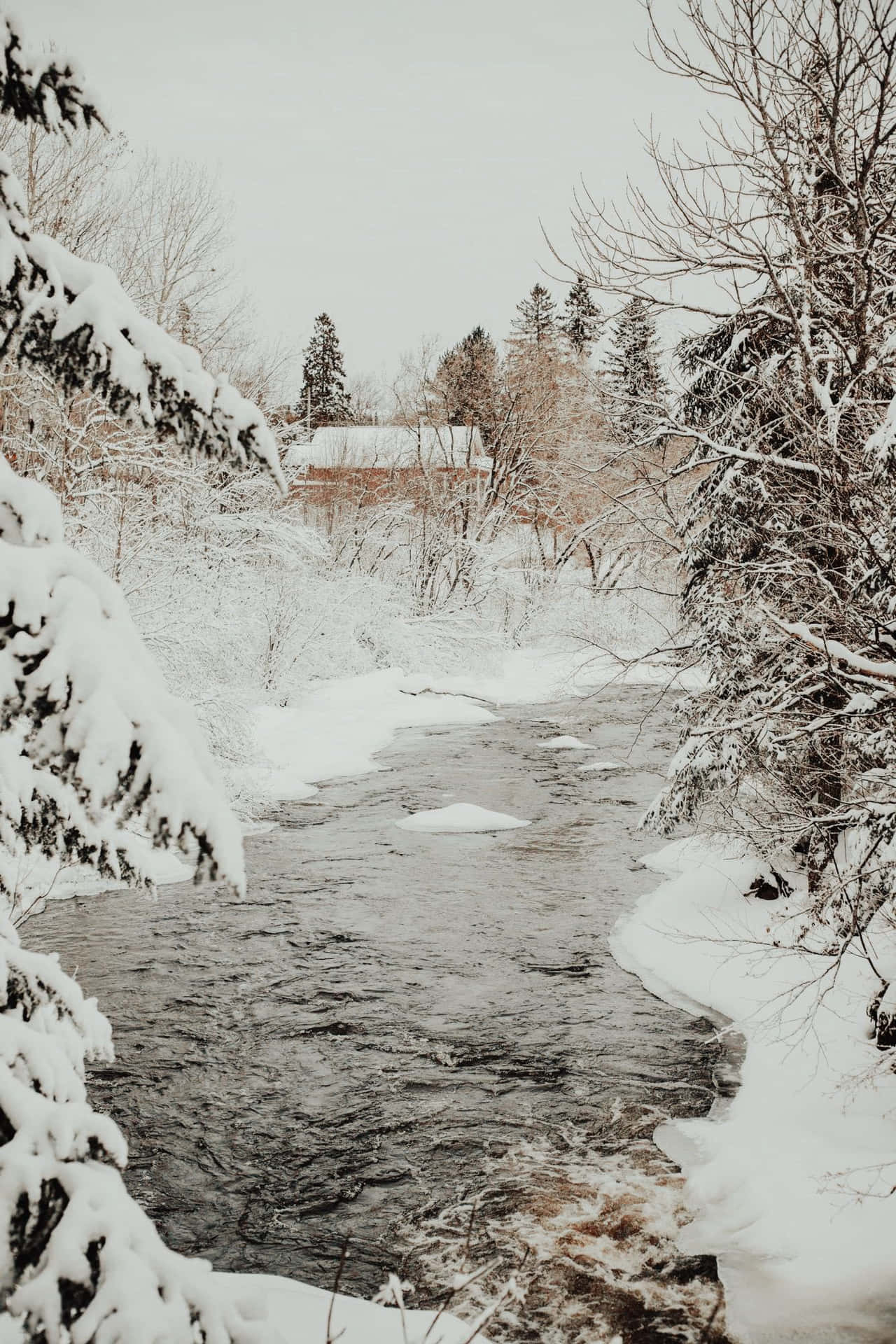 森林冰湖小屋冬日溫馨風景 壁紙 — 一條被雪覆蓋的冬季小溪流過一片樹木光禿的森林，遠處有一間房子，天空多雲。