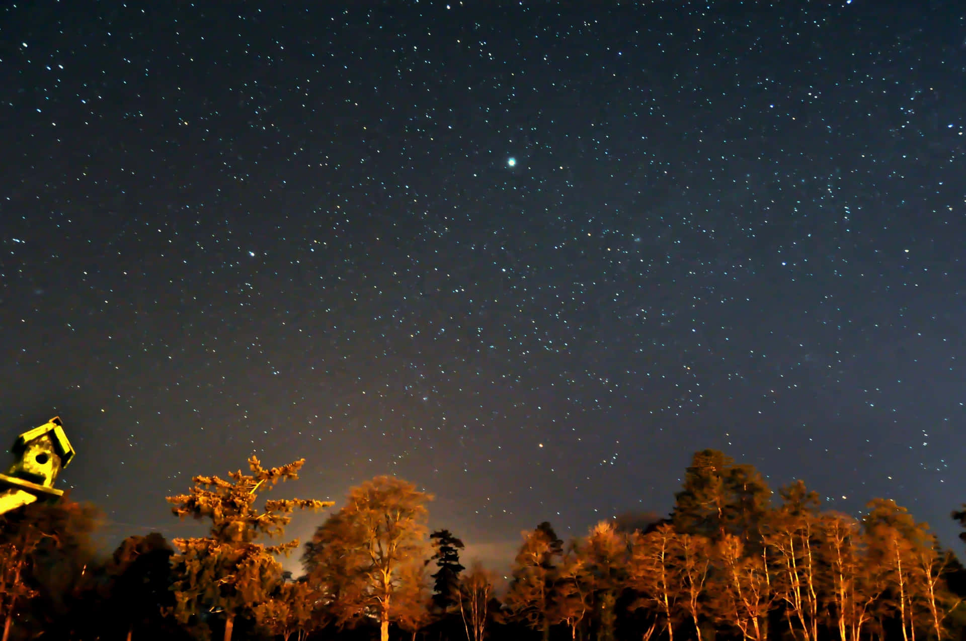 星空夜空下的森林和發光鳥舍。