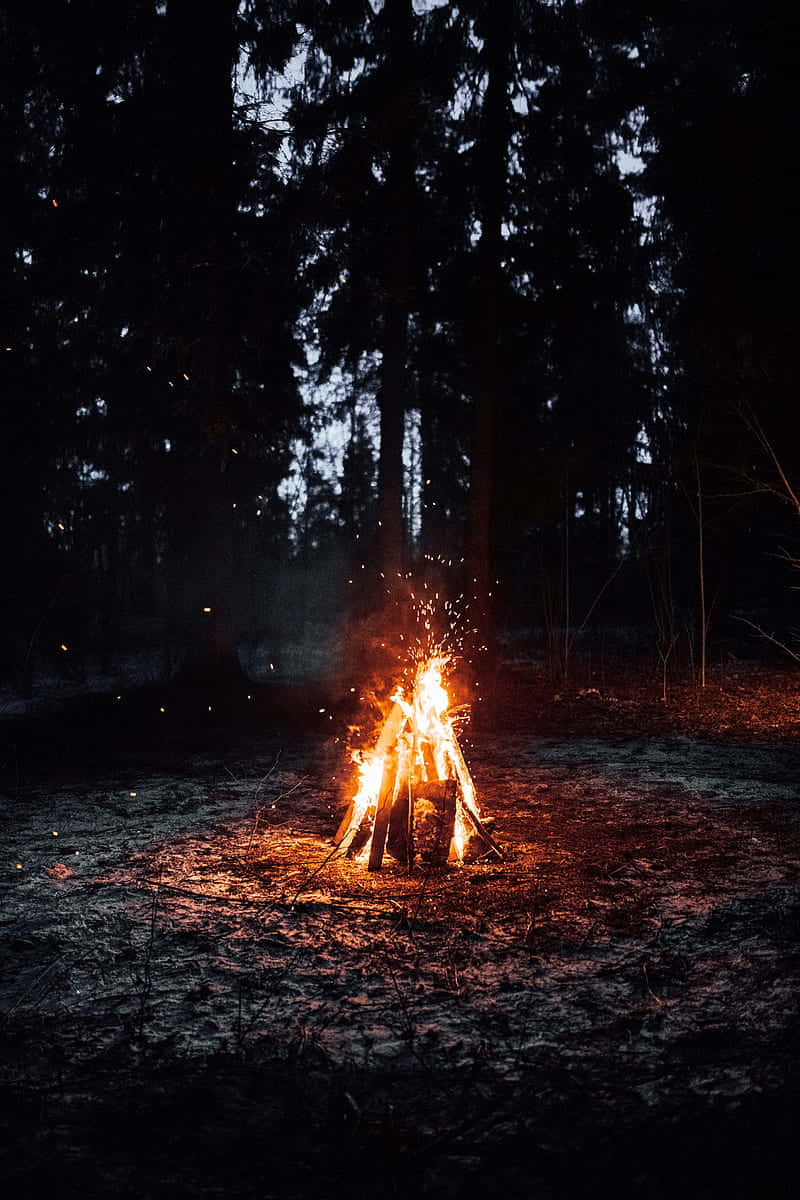森林旁的營火 壁紙 — 熊熊營火在夜晚的黑暗森林中投射出溫暖的橙色光芒和飛舞的火花。