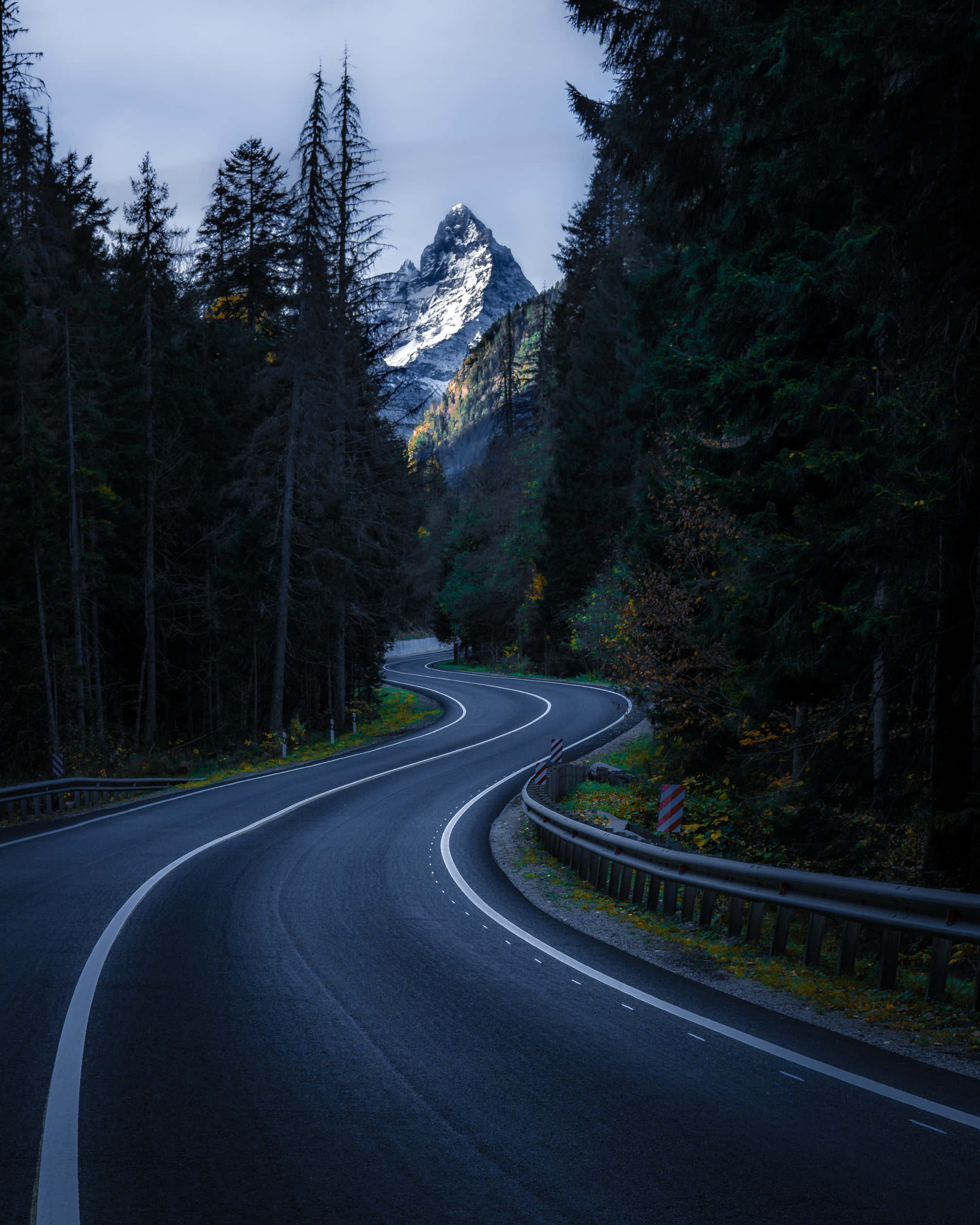 森林樹木間道路手機背景 壁紙 — 一條蜿蜒的山路穿過茂密的森林，通向在陰鬱的暮色天空下積雪的山峰。