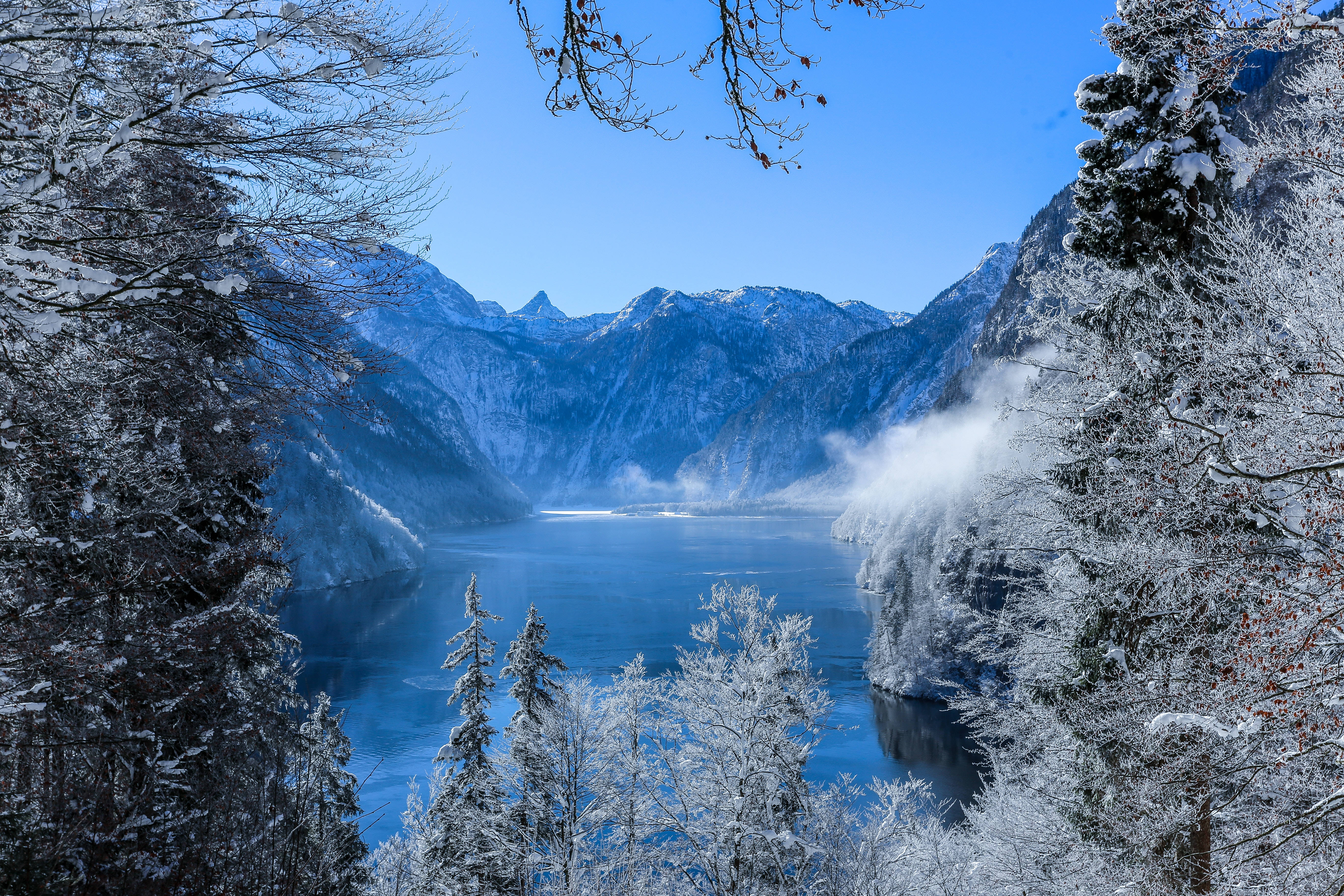 森林湖科尼格湖 壁紙 — 一個寧靜的冬日湖泊，坐落於白雪覆蓋的山巒之間，清澈的藍天下，被霜凍的樹木環繞。
