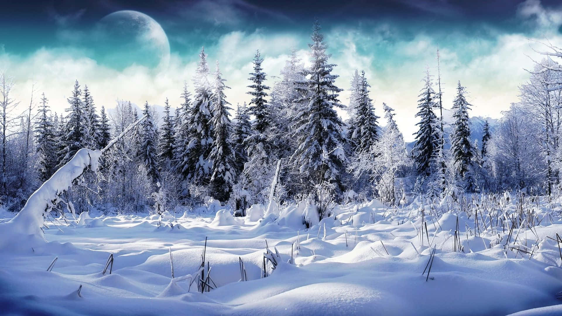 森林與雪山的壯麗冬日風景 壁紙 — 月光照耀下白雪覆蓋的森林，雪松環繞，寧靜的冬日景色。
