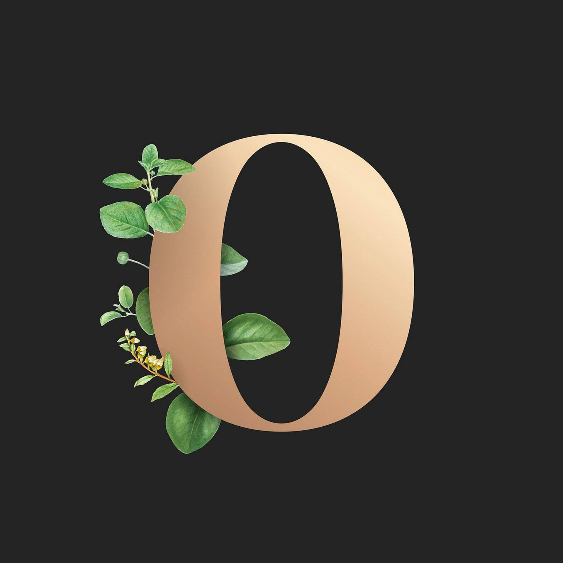 植物風格字母O 壁紙 — 一個大的金色字母O，點綴著綠葉和黃色小花，背景為深色。
