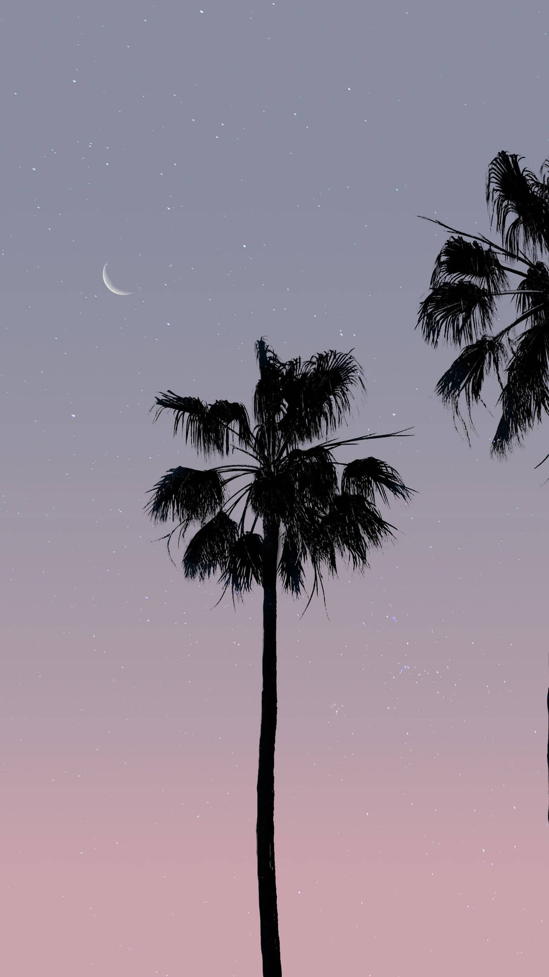 椰子樹剪影與夕陽滿月 壁紙 — 棕櫚樹的剪影在點綴著星星和彎月的暮色天空中高高聳立。