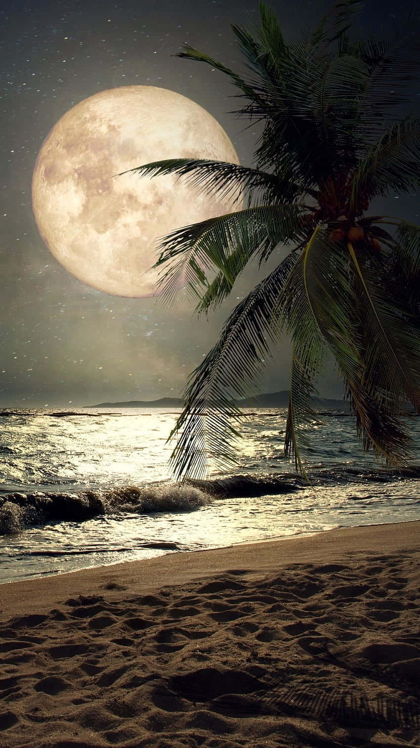 椰子樹夜灘圖 壁紙 — 一輪巨大的月亮在繁星點點的夜空中升起，將金色光芒灑在熱帶海灘上，棕櫚葉在質感沙灘上方搖曳。