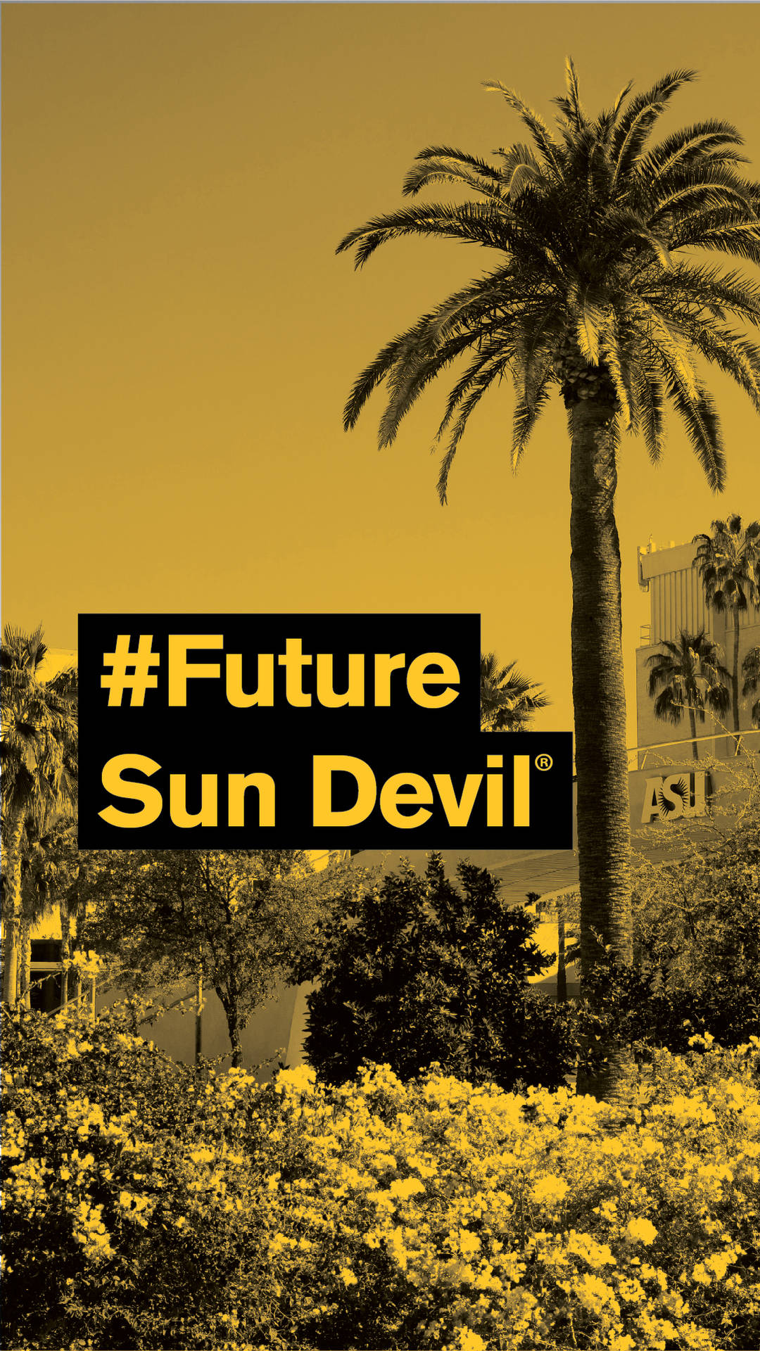 高大的棕櫚樹，帶有黃色花朵和文字疊加顯示 #Future Sun Devil。