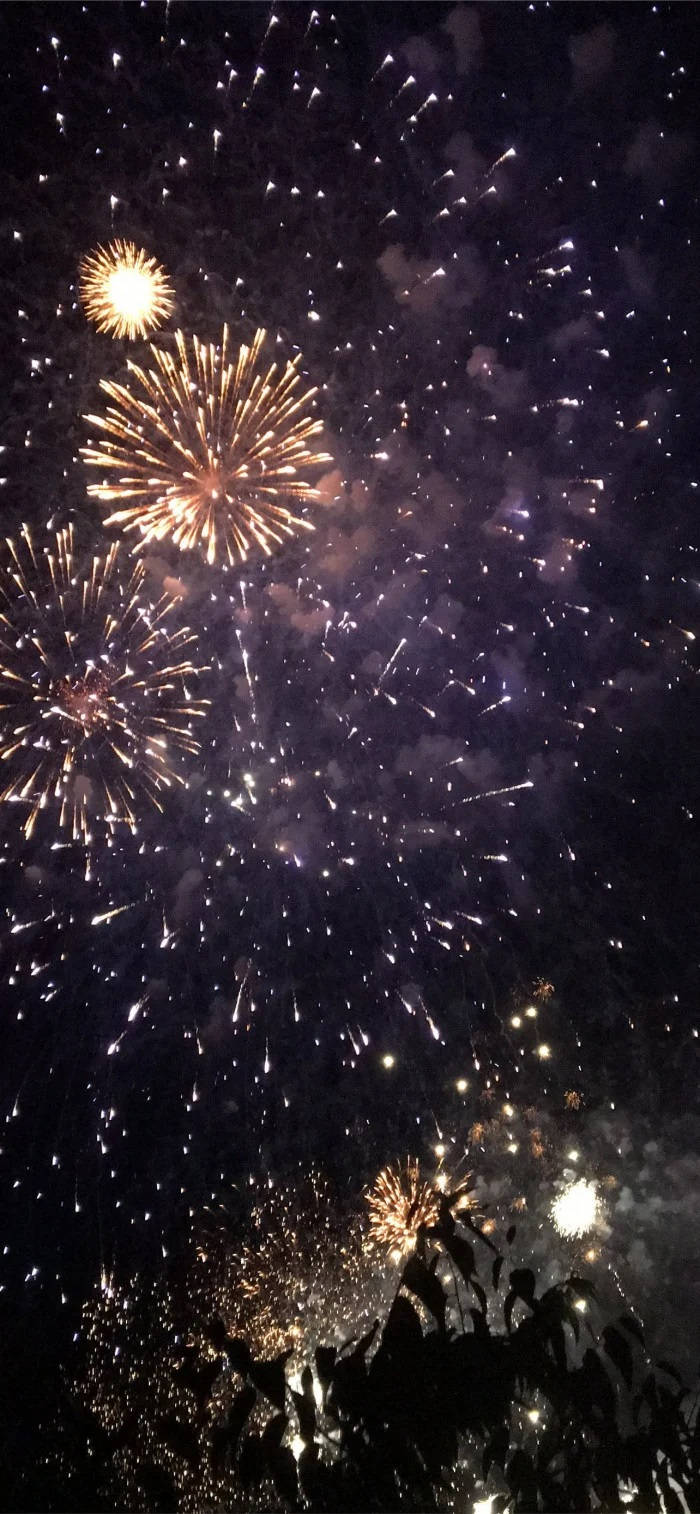 煙火在夜間黑暗的樹木上方爆發出金色光芒。