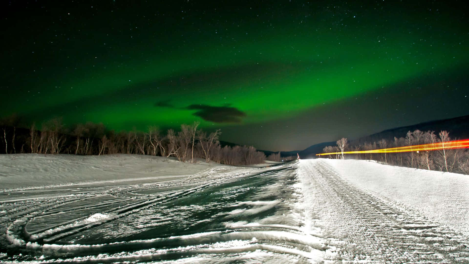 夜間積雪道路，綠色北極光在光禿樹木上方