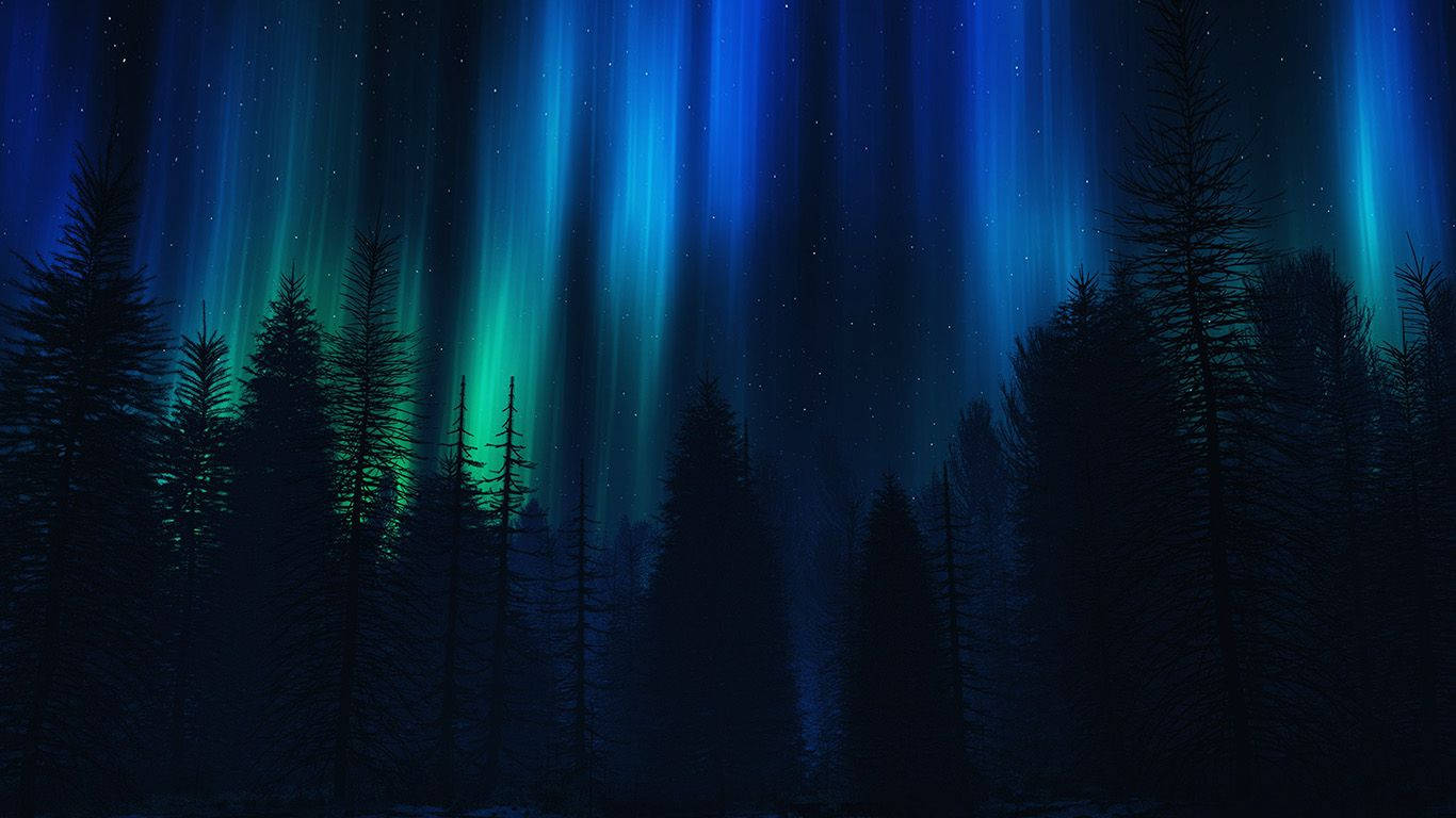極光在星空夜空下，在黑暗松樹林上方發光。