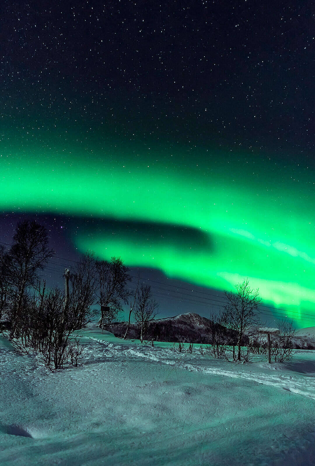 綠色北極光照亮繁星夜空下的雪景。