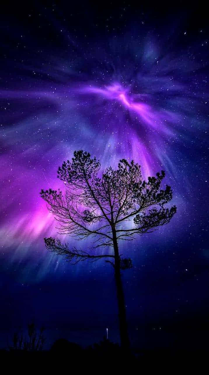 一棵孤樹在發光的紫色極光和星空下。