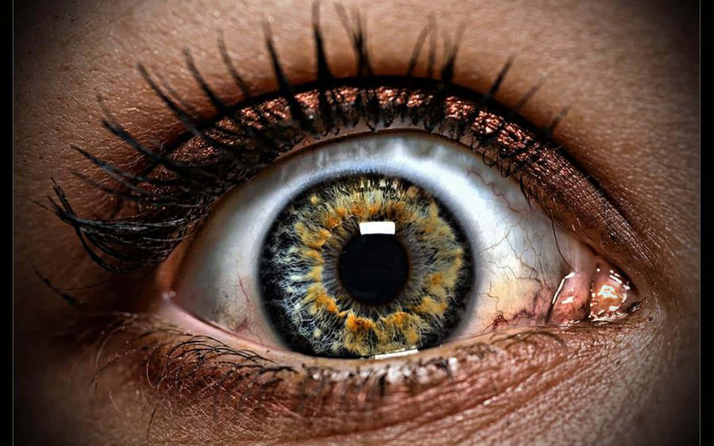 Eyes 桌布 壁紙 — 極端特寫人類眼睛，呈現複雜的虹膜圖案和戲劇性化妝，在溫暖燈光下。