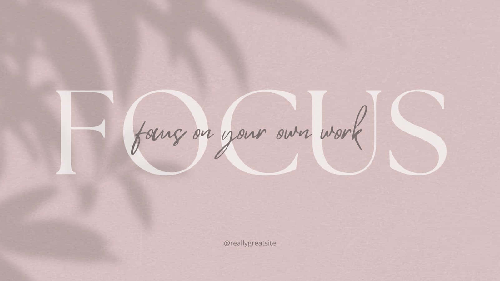 粉紅色背景，帶有葉子陰影，以及白色字母「focus」。