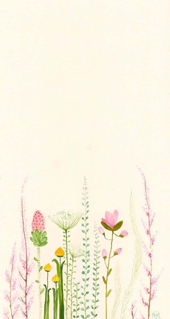 在奶油色背景上以柔和粉彩繪製的野花植物插圖。