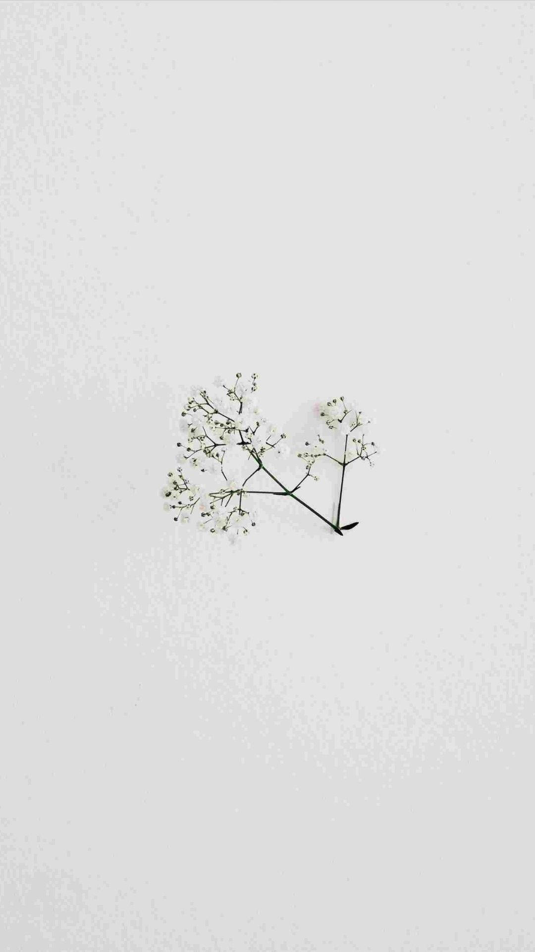 極簡花朵 壁紙 — 一束精緻的白色小花枝條，靠在柔軟有紋理的米白色背景上。