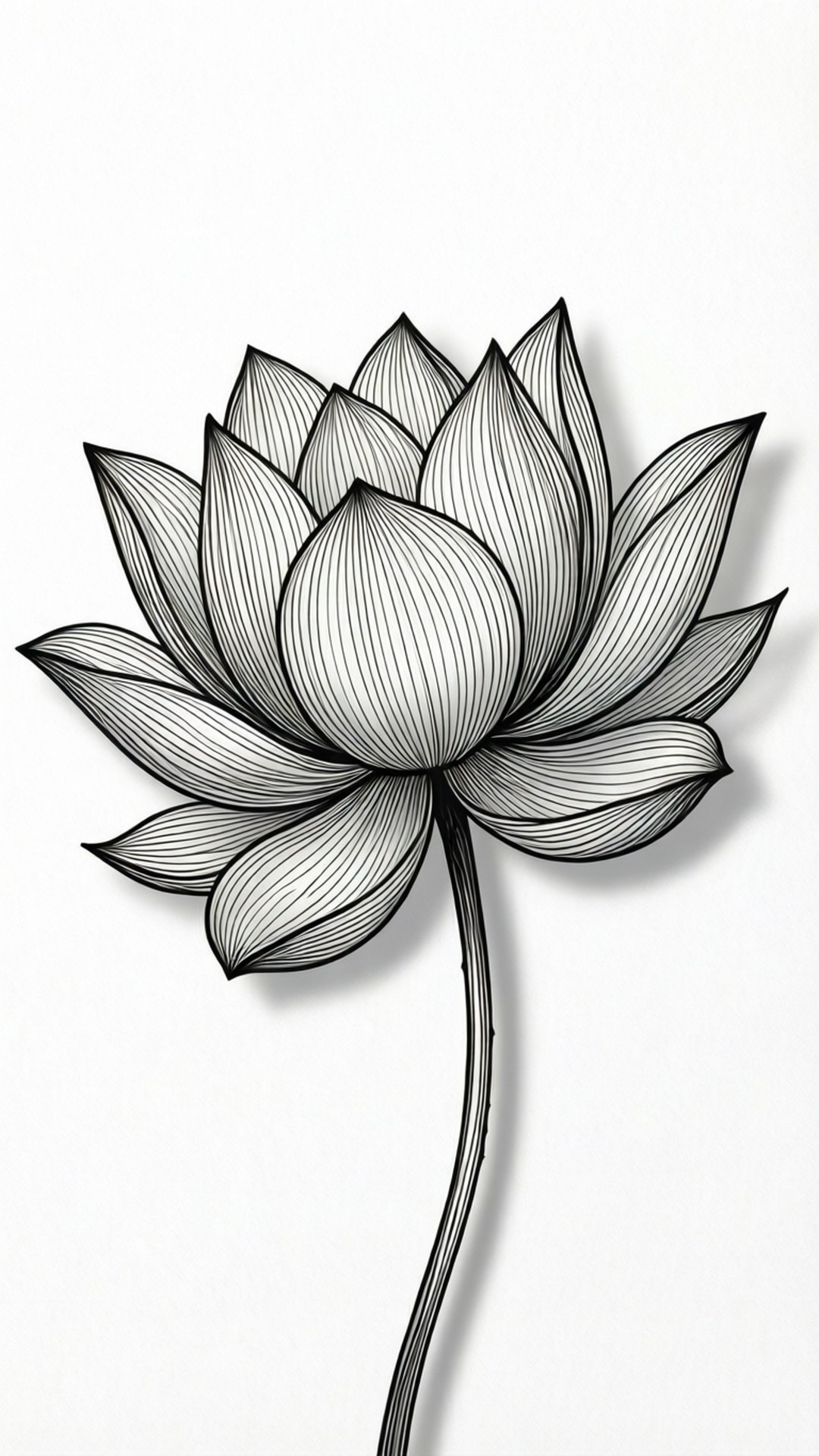 一幅黑白線條藝術插圖，描繪一朵細節豐富的蓮花，帶有精細的內部紋理。