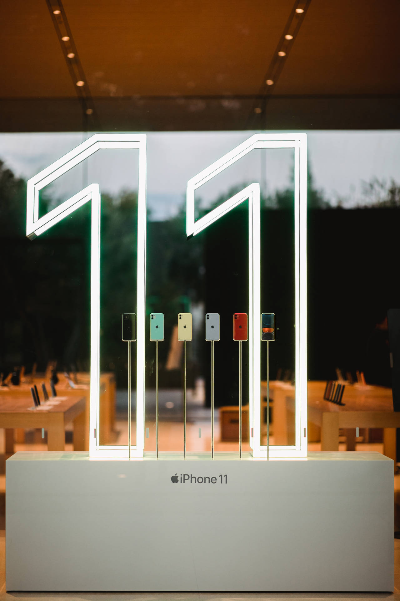 發光霓虹數字11在Apple Store展示中框住iPhone 11顏色選項。