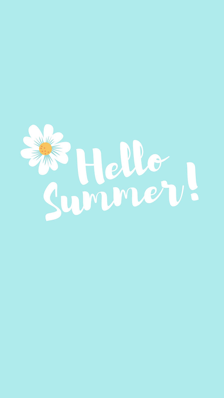 薄荷背景上帶有雛菊的 Hello Summer 文字 — 簡約風格 壁紙