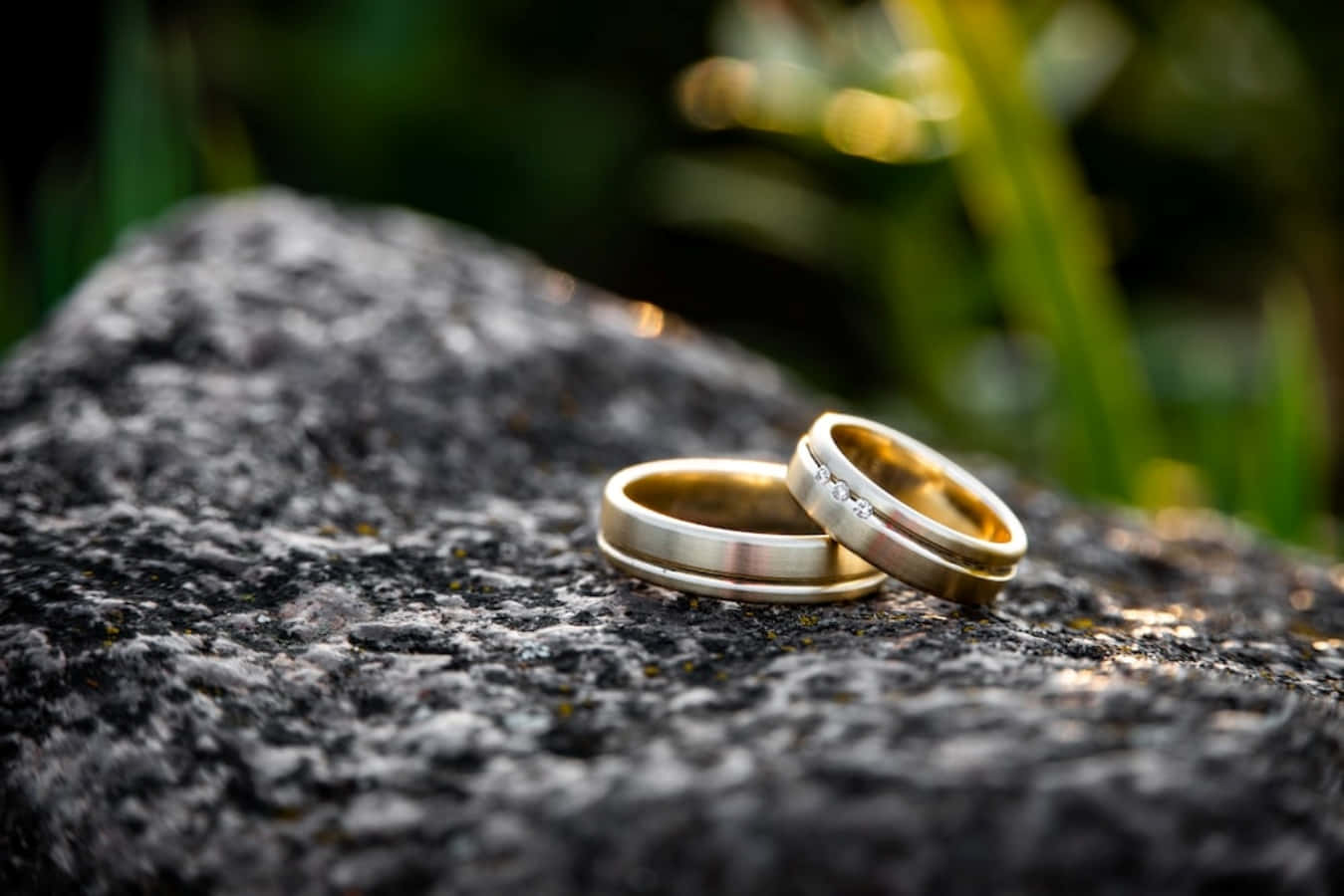 陽光花園中一塊長滿苔蘚的岩石上的兩枚結婚戒指。