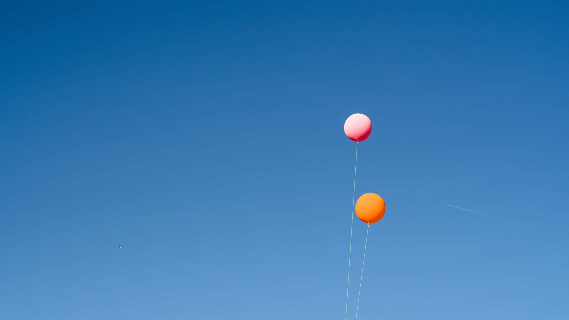 兩個粉紅色和橙色的氣球在清澈的藍天中飄浮。