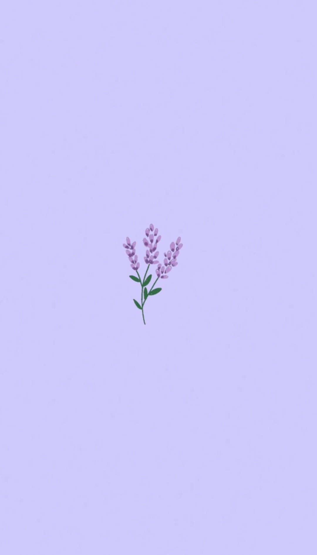 淺紫色背景上的一朵小薰衣草花朵插圖。